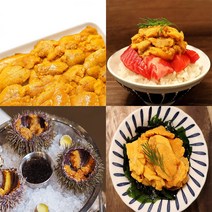 자연산 횟감용 급랭 냉동 성게알 우니 100g, (급랭)성게알_600g, 1개