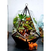 이끼아띠 테라리움(숲으로간낙타 大) 완제품(대27☓21cm)-픽업상품 이끼반려식물 모스테라리움 기학학유리용기 유리정원 유리온실 테라리움용기 클래스문의