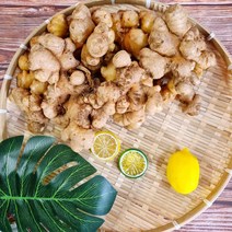 국내산 흙 생강 1Kg 특품 충남 서산 특산물, 흑생강 1Kg, 1개