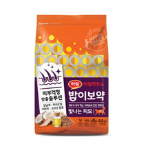 밥이보약 전연령 빛나는 피모 고양이 건식사료, 10개