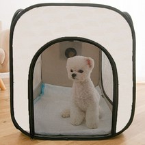 강아지 하우스 고양이 집 펫 털 말리기 건조 드라이기 드라이 룸, [코코비샵] L