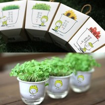 GO2shop GO2shop_ 어린이화분만들기 텃밭만들기 책상화분 씨앗 화단만들기 식물화분