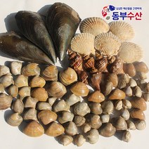조개세트 2kg 4kg 조개구이 조개모듬 캠핑조개, 프리미엄 조개세트 2kg내외