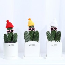 [팜스테리어] 만세 선인장 키우기 데코 포함 4종, [MINI] 사각화분