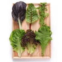 푸드앳홈 충주 유기농 쌈채소 600g 151483