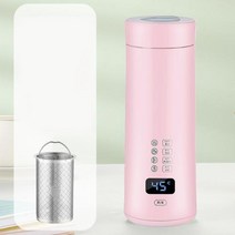 미니 냉장고 400 휴대용 전기 주전자 열 컵 커피 차 여행 물 보일러 온도 제어 스마트 보온병, Smart with filte+UK