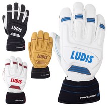 19/20 루디스 스키장갑 PRO GRIP S, (WT+BU)