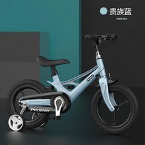 자전거 피닉스 브랜드 어린이 자전거 어린이 페달 자전거 소년 아기 12-14-16 인치 소녀 마그네슘 합금 유모차, 단일 속도, 16인치 스카이 블루 - 경량 마그네슘 합금