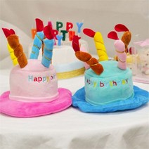 파티생각 펫 생일케익모자 대, 블루/보험가입 거절