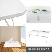 갤러리테이블 중 카라 롱핸들돌돌이 카페트청소방법