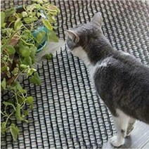 비둘기 고양이 접근금지 실외기 베란다 설치 스파이크 펜스망 Q, 스파이크 테잎 10P