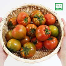 당도보장 대저 짭짤이 토마토 2.5kg, 로얄과 2.5kg S