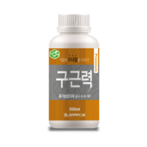 < 백양농약사 > 구근력 500ml / 뿌리발근 구근비대 뿌리생장 뿌리영양제 연작장애 토양개량” class=”wr-img”></a></div>
</div>
</div>
</div>
<div class=