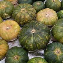 2022년 국내산 햇 초록호박 무농약 조선호박 끝물호박 맷돌 영천 직접재배, 7~8KG