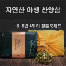 산양삼 장뇌삼 뇌두 자연산 야생 씨앗 먹는법 진세노사이드 사포닌 총4뿌리 정품 산양산삼 장뇌삼뇌두, 3세트, 4뿌리