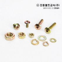 일반 트러스 머리 볼트(6mm ~ 50mm) M4 M5 M6, 16mm