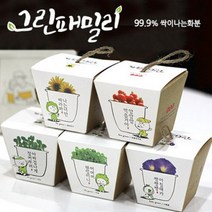 [천삼백케이] [오너클랜] 그린패밀리잔디화분, 02마마의 허브(바질)