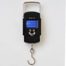 매달림 저울 휴대용 미니 행잉 저울 포켓 LCD 디지털 수하물 무게 낚시 후크 전자 50kg, 한개옵션0