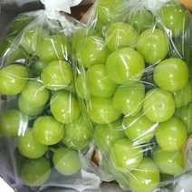 고당도 샤인머스켓 경북 김천 영천 씨없는 망고포도 고품질 2kg 3~4수