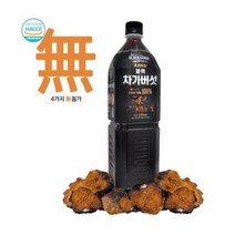 블랙 차가버섯, 435ml, 20개