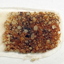 (한정수량)보통콘드라이트 북서아프리카 석질운석 박편