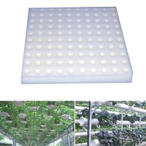 수태봉 콩나물키우기 딸기 수경 재배 100 pcs 흙이 없는 수경 야채 보육 냄비 보육 스폰지 문화 시스템 물 심기 가정용 정원 친환경