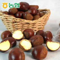 [농협] 속이 꽉찬 순창 햇 알밤(특품) 1kg / 꿀밤 맛밤 공주밤 정안밤 옥광밤, 1개