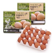 코스트코 한스팜 자연을 품은 동물복지 인증 계란 20ea x 2