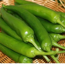 오이맛고추(상)10kg 1박스 자연대로팜웨이