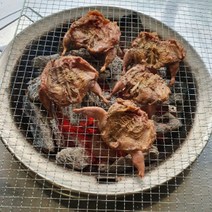국내산 생지 메추리(완손질)20마리(1.5kg)/ 메추리구이 백숙 캠핑인기