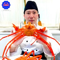 오늘의 속초 홍게 마가단 박달 대게 자숙 찜, [라면/찌게육수용]홍게 3kg(10미내외)