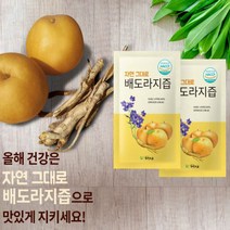 자연그대로 도라지배즙 파우치 100mlx120팩