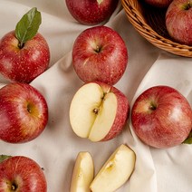 DMZ청정사과 부사한입 사과, 1, 11