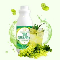 카페용품 과일 청포도농축액 1kg 원액 시럽 에이드 슬러시, 쉘몬과일농축액베이스청포도1kg