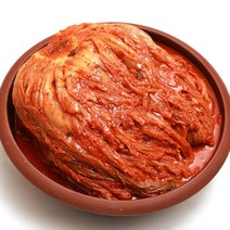 대세김치 국내산 묵은지김치 10kg