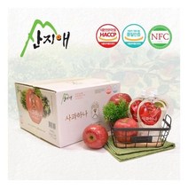 산지애 사과원액주스 30팩 사과즙 사과주스 100% 착즙 NFC, 단품