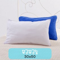 베개 속통 포근솜 30x50cm, 단품