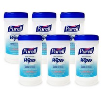 Purell 미국 퓨렐 물티슈 와이프 다목적 멀티 세정제 손세정 향균 클린 40개입 6팩