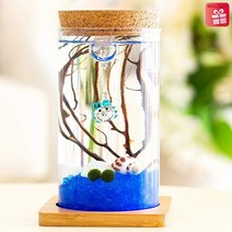 Mall2018 FQ488 LED 마리모키우기 세트 수생식물 마리모어항, 1세트