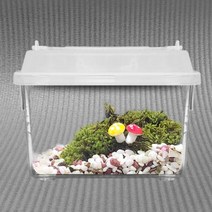 diy 테라리움만들기 식물 재료 테라리움 이끼 비바리움