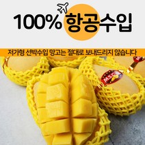 프리미엄 망고 태국 골드망고, 2.5kg(7개내외)