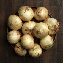 (정직한먹거리)2022년 국내산 햇양파 최상품 3kg 5kg 10kg 20kg, 햇양파 10kg