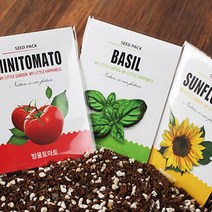 홈가드닝 반려식물 씨앗 모종 10팩, 메리골드