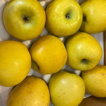 시나노 골드 황금사과 노란사과 사과 스위트 2kg 3kg, 시나노골드 정품 2kg 7-10과