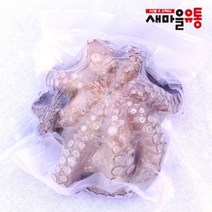 냉동 생문어 1마리 400g-500g 내외 모리타니아 마다가스카르 세네갈, 1마리(모리타니아), 500g-600g(모리타이아)