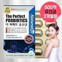 100억보장 100억프로바이오틱스 백억 식물성 캡슐 알약 모양 약 2달 장가스제거는 약으로 유산균은장관리 50대 60대 신바이오스틱스 신바이오스틱 신바이오틱스 유산균 비피더스균, 1, 60캡슐, 60캡슐