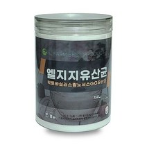 엘지지유산균 락토바실러스 랍노서스 GG유산균 350g