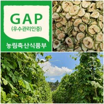 그날 따서 말린 22년산 건여주 국내산 무농약 건여주 야곱의 꿈 농장 600g