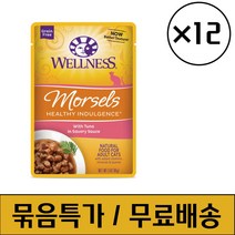 웰니스 캣 헬시 인덜전스 머셀 참치 파우치 85g x 12개