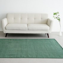 [인룸] 비비드 소프트 러그 100x150